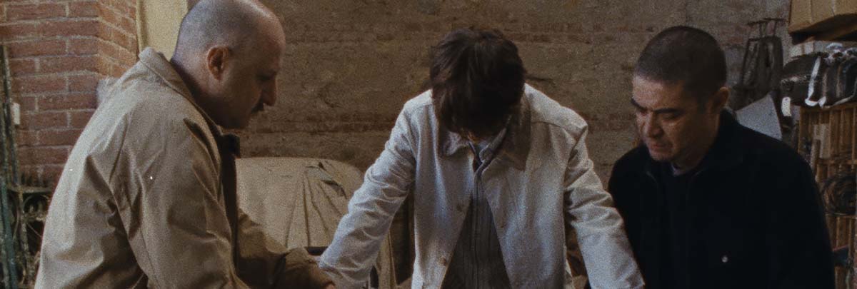 I figli della scimmia