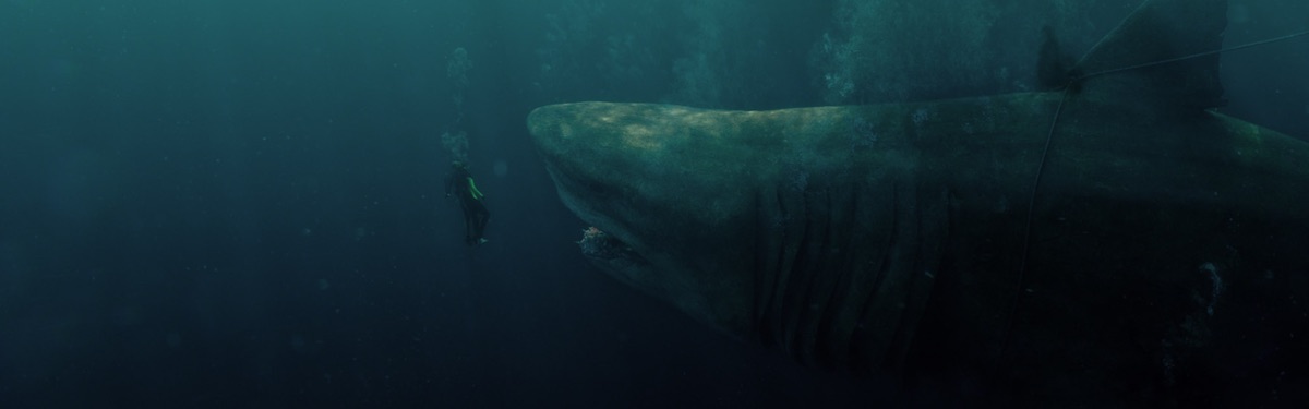 Shark – Il primo squalo
