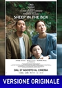 SHEEP IN THE BOX