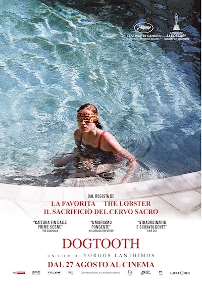 Dogtooth