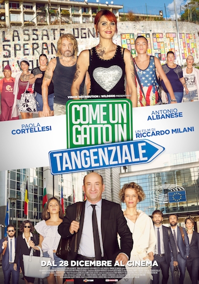 Come un gatto in tangenziale