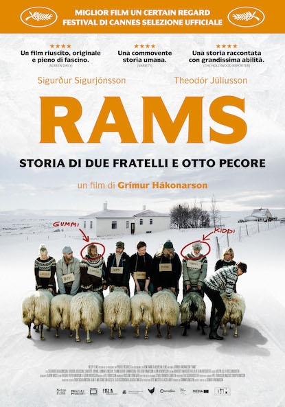 Rams – Storia di due fratelli e otto pecore